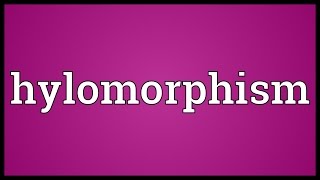 Hylomorphism Meaning [upl. by Kcirdneh764]