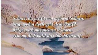 Wasserflut  Hannes Wader singt Schubert [upl. by Gerbold243]