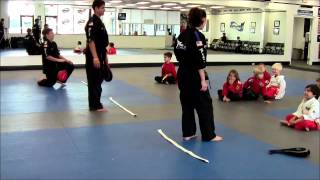 Core SKILLZ AGILITY martial arts classes for 7 to 9 year olds [upl. by Maharva]