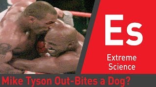 Can Mike Tyson OutBite an Attack Dog  Sport Science [upl. by Jacobah]