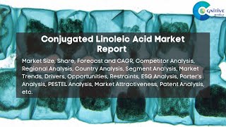 Conjugated Linoleic Acid Market Report 2024  Forecast Market Size Growth Trends [upl. by Else]