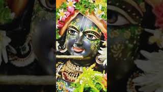 Jai shree Krishna  krishna status  short video viral [upl. by Dygal]