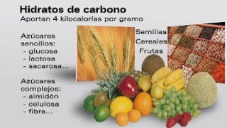 ¿Qué son los hidratos de carbono [upl. by Ativ573]