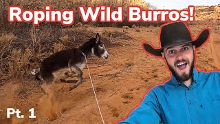 Roping Wild Burros On Navajo Reservation pt 1 Vlog 32 [upl. by Colinson178]