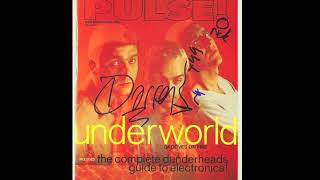 Underworld  Live  Organic 96 Festival California 1996 USA Full Show [upl. by Ardnoik741]