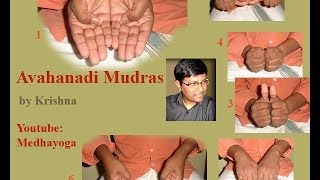 Sri Vidya Avahanadi Mudras By Krishna [upl. by Scrope]