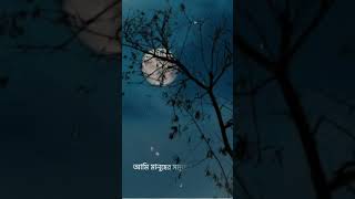 Amake amar moto thakte dao song song aesthetic aesthetic [upl. by Adnert]