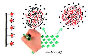 Introduction to Hydrophobic Interaction Chromatography [upl. by Eerased865]