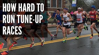 How Hard Should You Run Tune Up Races [upl. by Enenaj]