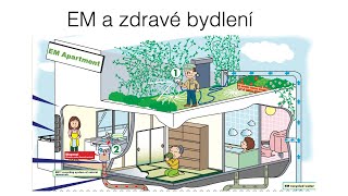 Efektivní mikroorganizmy a zdravé bydlení [upl. by Akirdnuhs]