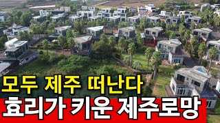 예능이 키운 제주 로망 다 깨지고 떠난다  집도 안팔려 [upl. by Zurn242]