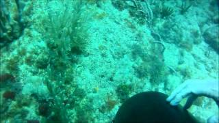 1st reef to Suzannes Ledge 05282012 [upl. by Kcirted]