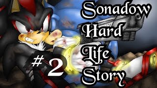 Sonadow hard life story 2 pet shop [upl. by Ellenehs]