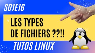 Les types de FICHIERS  Linux 116 [upl. by Eat]