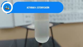 Práctica de laboratorio de química orgánica Alcoholes y fenoles [upl. by Cirenoj685]