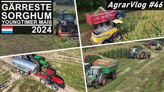 AgrarVlog 46  Gärreste Sorghum häckseln und Old School Mais  Luxemburg 2024 [upl. by Mccall303]