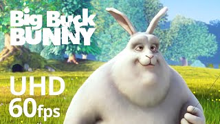 Big Buck Bunny 60fps 4K  Official Blender Foundation Short Film [upl. by Ianteen222]