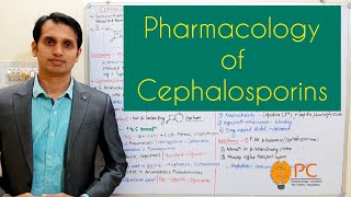 Pharmacology of Cephalosporins Beta Lactams  Cell Wall Synthesis Inhibitors [upl. by Maiah]