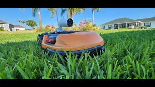 LandroidLive Worx Robotic Lawn Mower cuts the lawn LIVE [upl. by Niatsirk659]