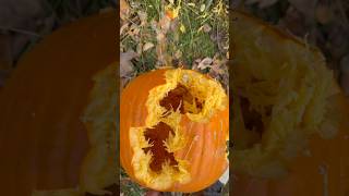 Different calibers VS a pumpkin microdraco fyp youtubeshorts viralvideo edc draco halloween [upl. by Endor]