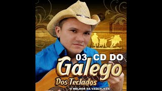 GALEGO DOS TECLADOS O MELHOR DA VAQUEJADA CD VOLUME 03 COMPLETO [upl. by Ailicec]