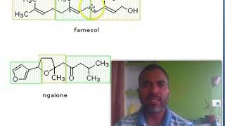 ISOPRENE RULE [upl. by Gnah]