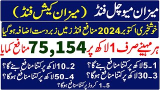 Meezan Mutual Funds 2024  Meezan Cash Fund 2024  Al Meezan Mutual Fund 2024  Al Meezan Investment [upl. by Cthrine]