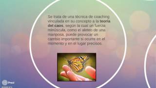 ¿Qué es el coaching wingwave [upl. by Aillil]