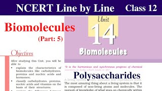 Polysaccharides Biomolecules Class 12 Chemistry  Starch  Cellulose  Glycogen  ncert chemistry [upl. by Zedekiah]