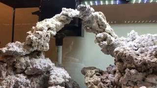 Build 75 gallon Saltwater Aquarium Diy Rocks [upl. by Greer]