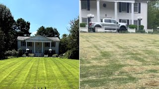 We intentionally Scalped a Beautiful Zoysia Lawn 😨👀 [upl. by Eran]