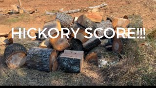 Talking firewood related stuffcutting white oak pecan and huge Hickory score [upl. by Atirac371]