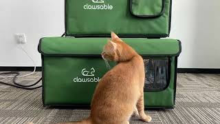 Clawsable Outdoor Heated Cat House  Cozy Comfort Rain or Shine [upl. by Carolyn]