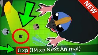 MOPEIO ZERO XP CASSOWARY TROLLING  Mopeio Best amp Funny Moments [upl. by Argus]