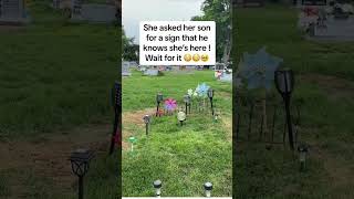 Sign From The Grave A Mother Receives A Message From Her Deceased Son [upl. by Otsuj]