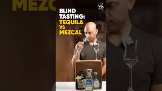 Tequila vs Mezcal  Can you taste the difference [upl. by Rashidi]