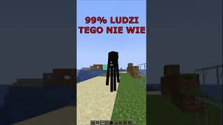 99 ludzi nie wie tego o minecraft 😱 [upl. by Clippard]