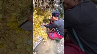 TREASURE HUNT CHALLENGE DIGGING GOLD MINE goldprospecting goldtreasure oro shorts gold asmr [upl. by Zachery214]