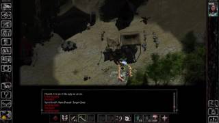 Siege of Dragonspear Solo Druid Legacy of Bhaal Challenge  part 7 Killing the Crusaders [upl. by Dulciana]