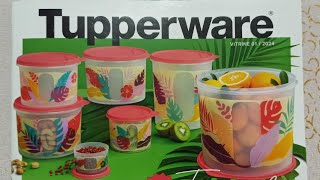 Vitrine 012024 Tupperware Completa [upl. by Mercuri]