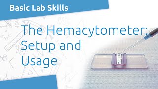 Lab Skills Hemacytometer Setup [upl. by Warp]