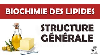 Biochimie  Structure générale des Lipides [upl. by Adnam]