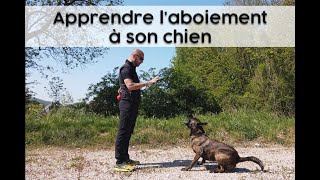 Cynotech  Apprendre laboiement Ã son chien [upl. by Hescock]