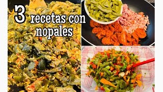 3 Recetas con nopales que te harán chuparte los dedos 😋 recetas económicas [upl. by Pandich636]