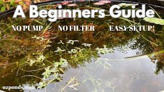 A beginners guide to building a small fish pond with no pump or filter [upl. by Kirschner987]