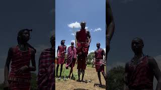 Masai Mara reels africa culture [upl. by Ylram]