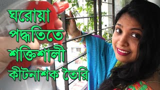 ঘরোয়া পদ্ধতিতে শক্তিশালী কীটনাশক তৈরি Homemade insecticide [upl. by Horn929]