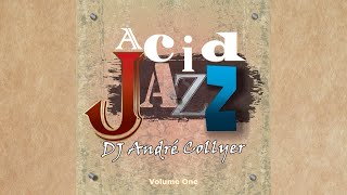 Acid Jazz Rhythm and Blues and Chillout by DJ André Collyer Volume 01 [upl. by Stets551]