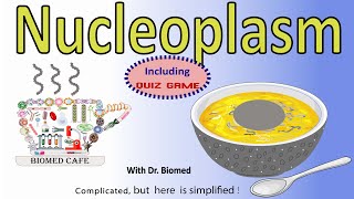 Nucleoplasm Structure and Function [upl. by Alisen]