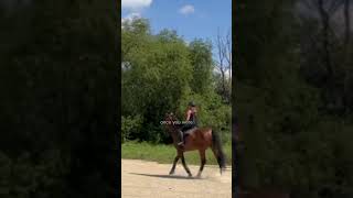 one year difference 🤩horse equestrian dressage eventing horseshow glowup [upl. by Eronel]